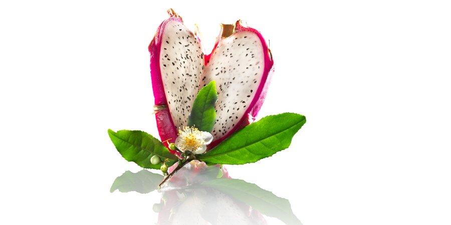 Food and beverage still life photograph, dragonfruit and white tea
