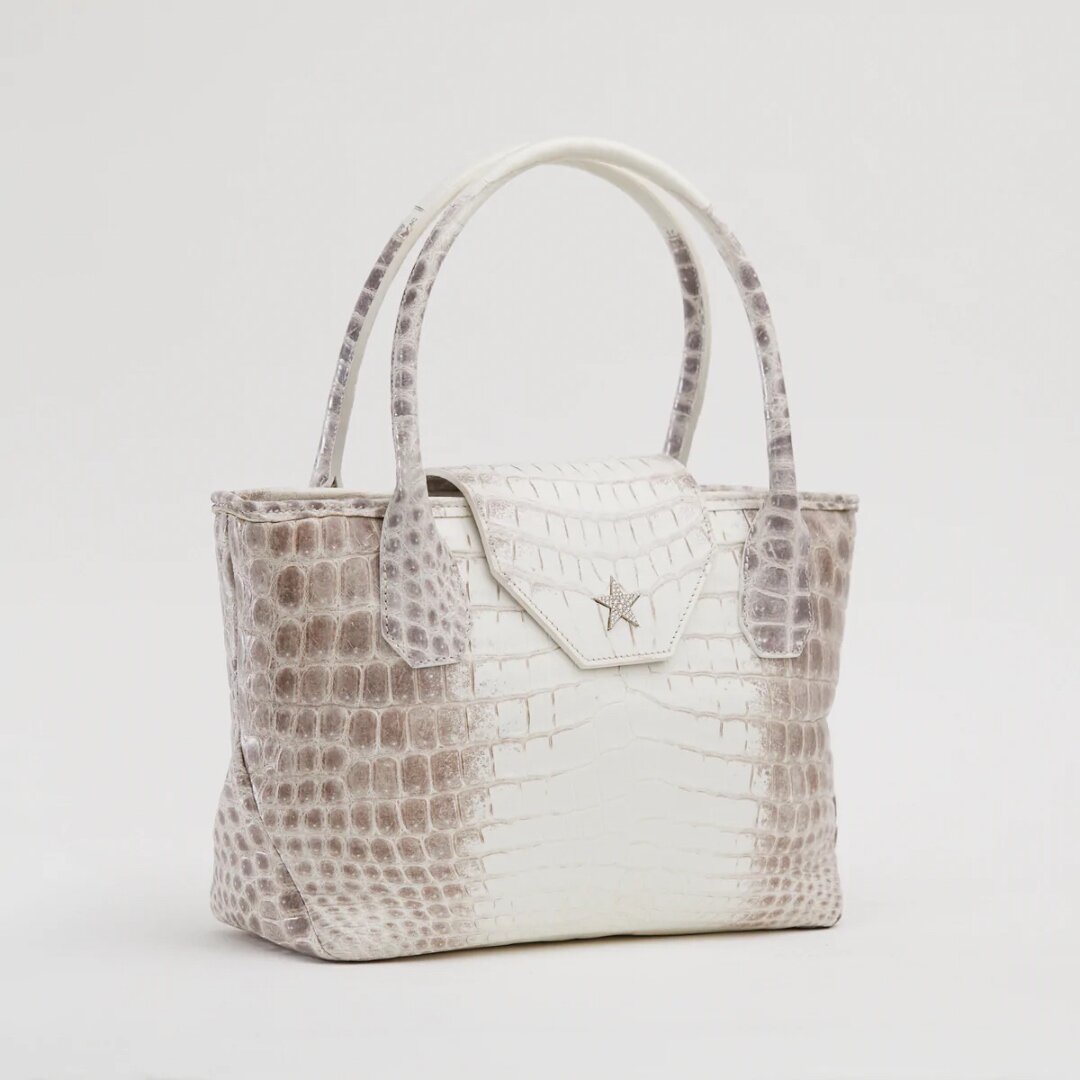 Étoile crocodile leather tote bag product photograph